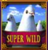 The Glass Slipper Dove Super Wild
