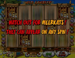 Wild Gambler Slot Meerkats