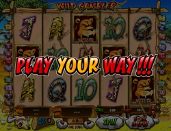 Wild Gambler Slot Play Your Way