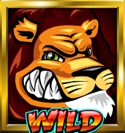 Wild Gambler Slot Wilds