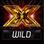 X Factor Judges' Jackpot Wilds